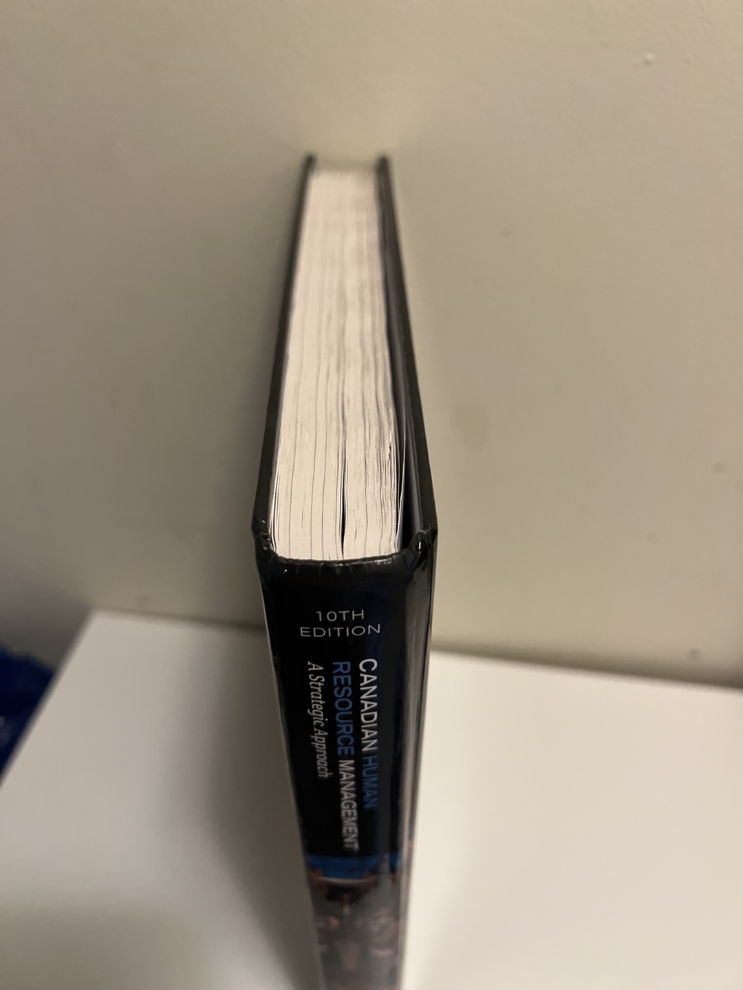 Canadian Human Resource Management Textbook (10th Edition) - photo 2