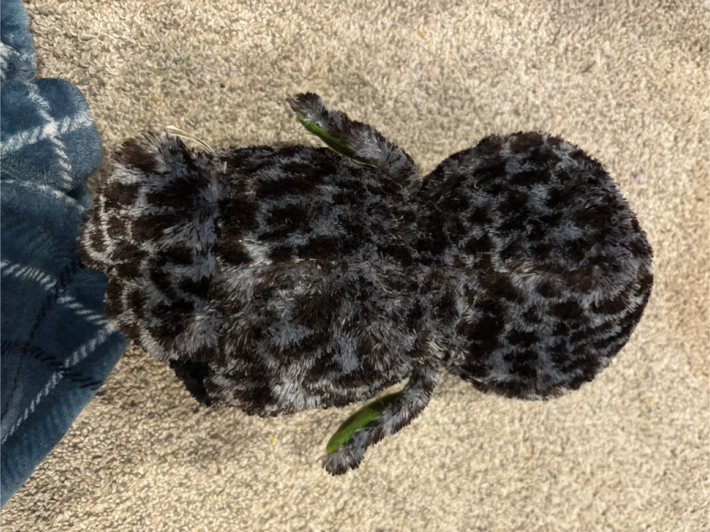 Ty Beanie Babies "Midnight" Plush Toy - photo 4
