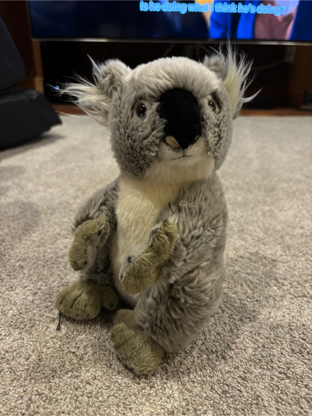New Planet Koala Stuffed Animal