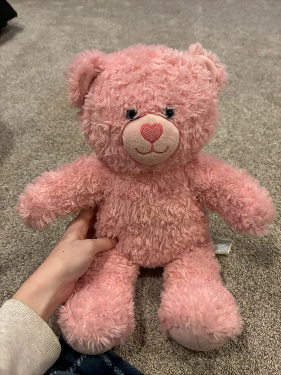 Build-A-Bear Pink Teddy Bear - photo 2