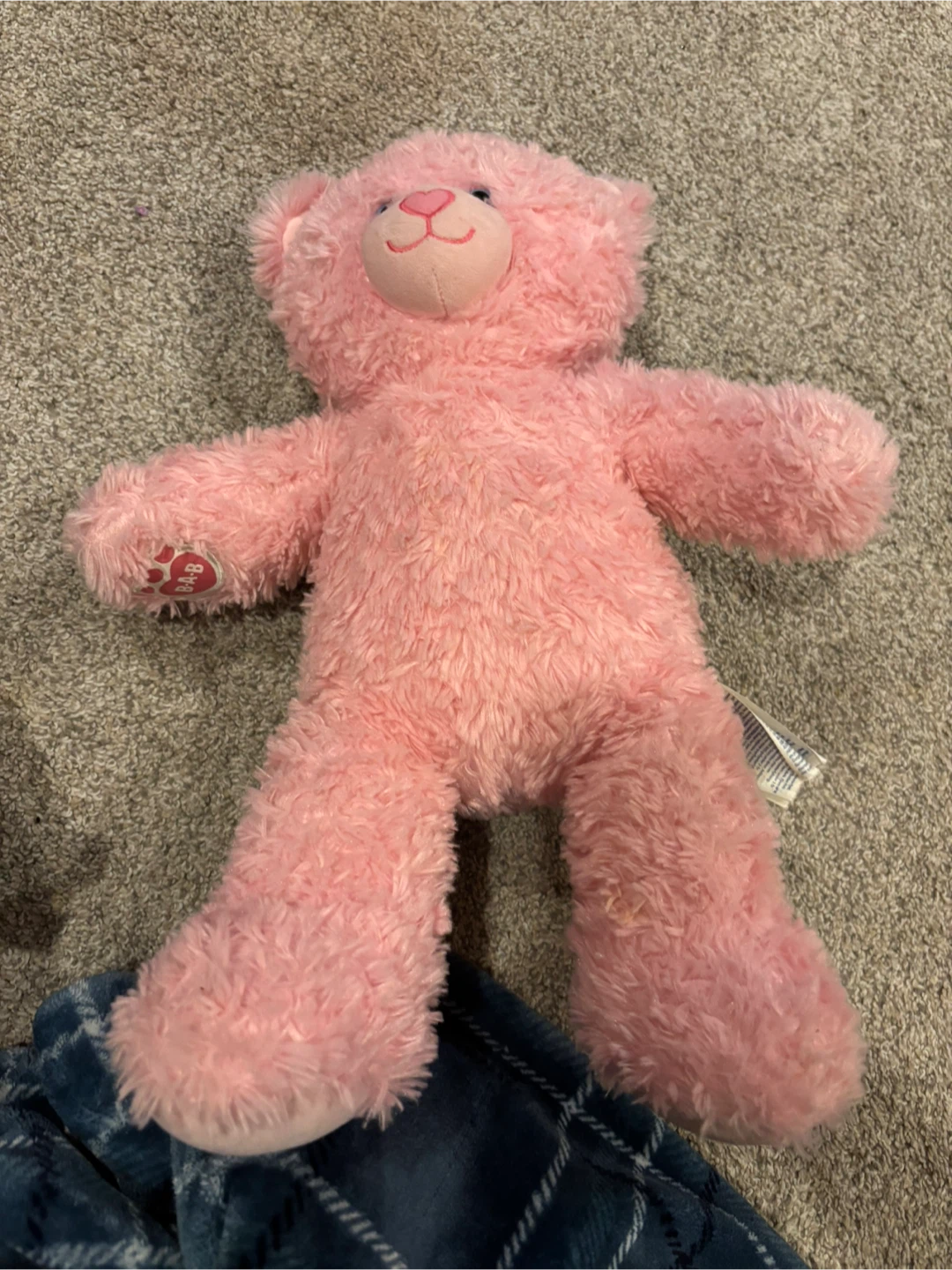 Build-A-Bear Pink Teddy Bear