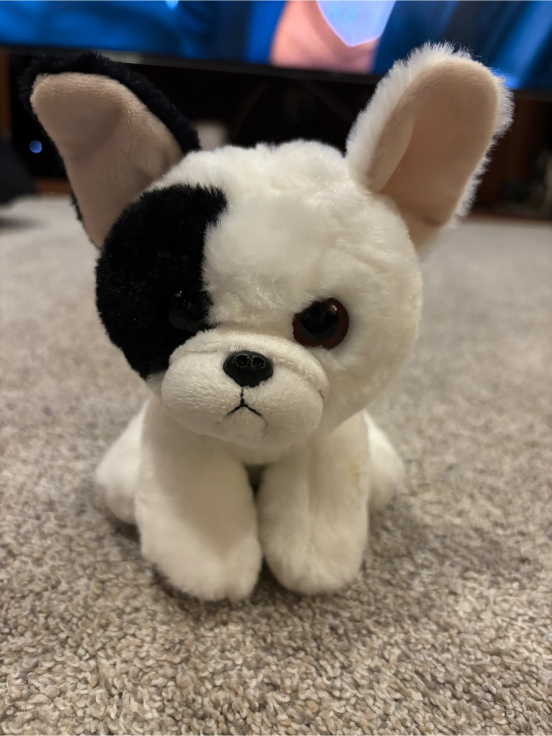 Ty Beanie Baby Marcel Plush Dog