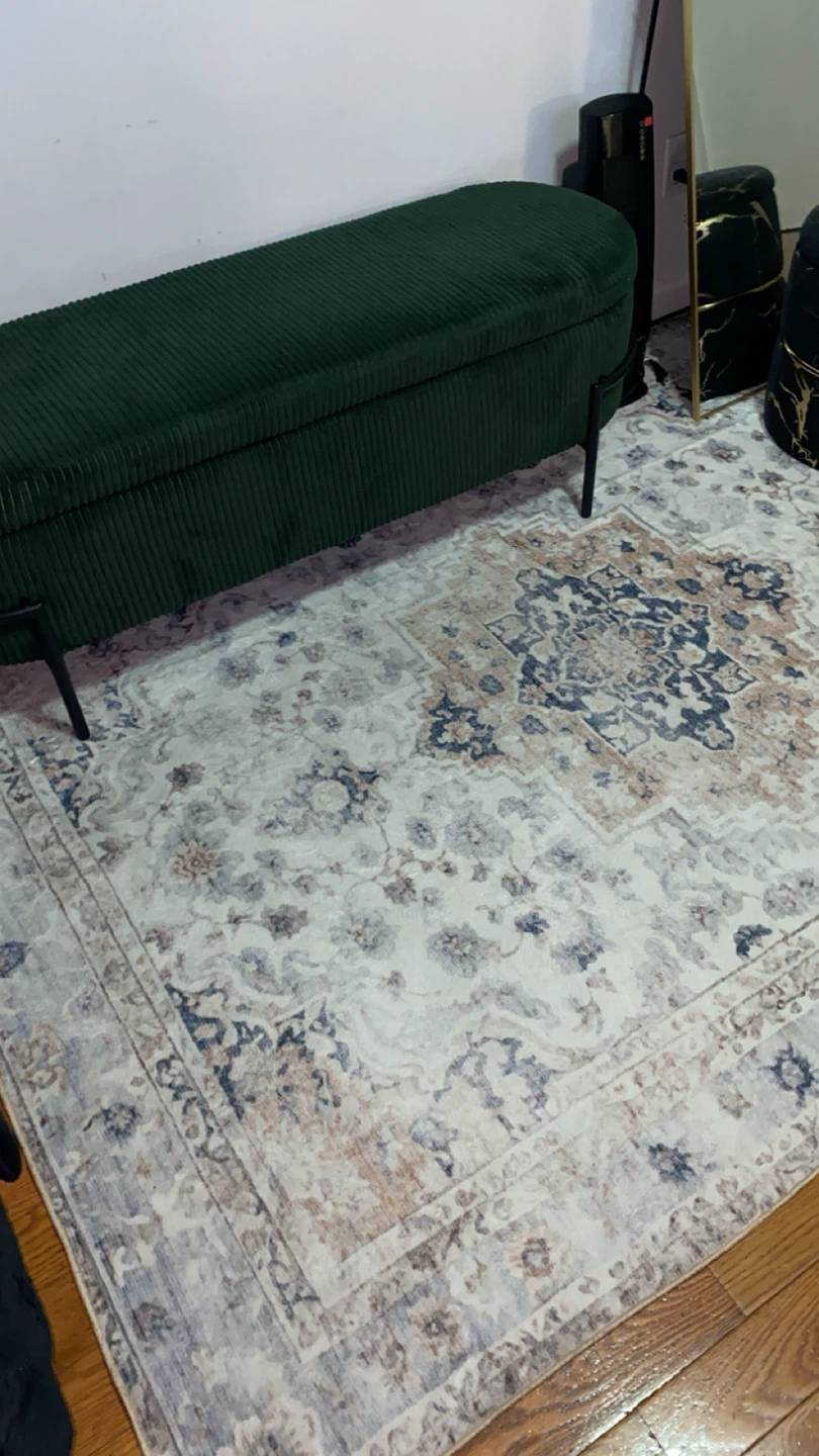 Persian Style Area Rug