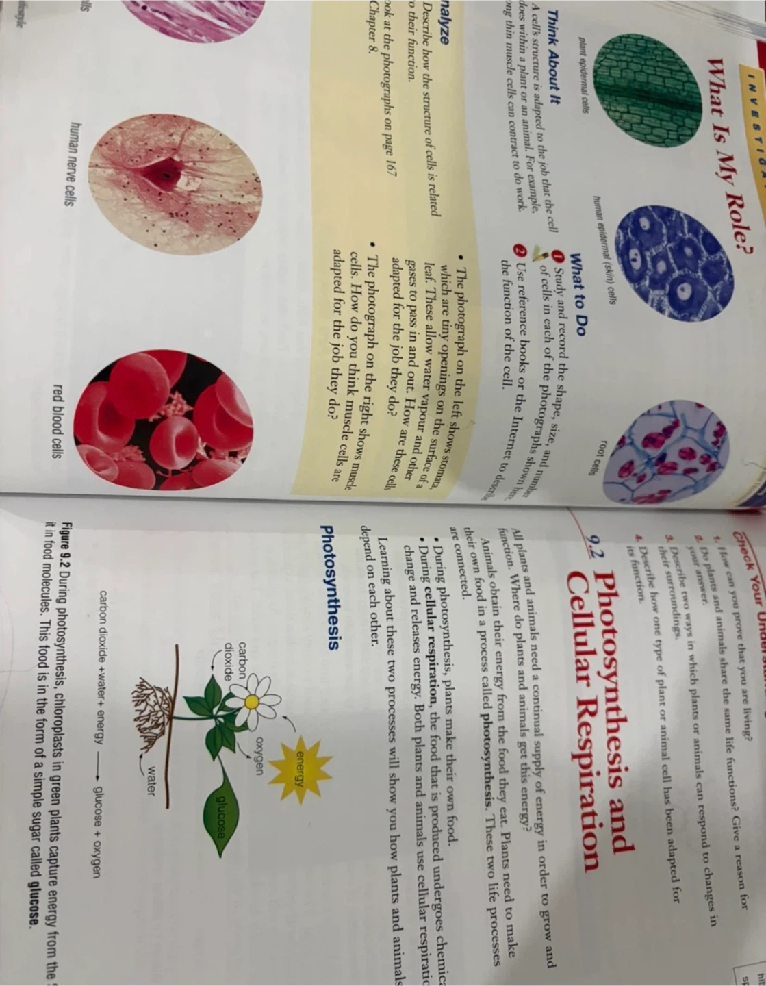 Science Connect 1 Student textbook - photo 2