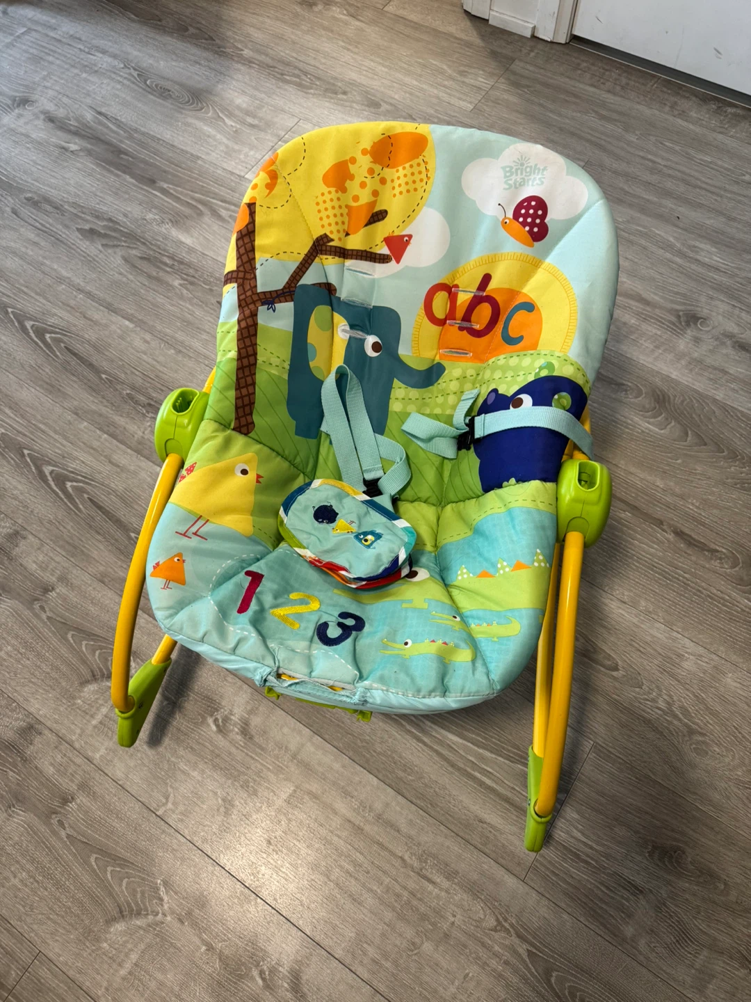 Bright Starts Baby Bouncer - photo 2