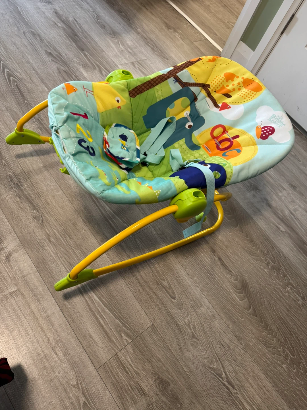 Bright Starts Baby Bouncer