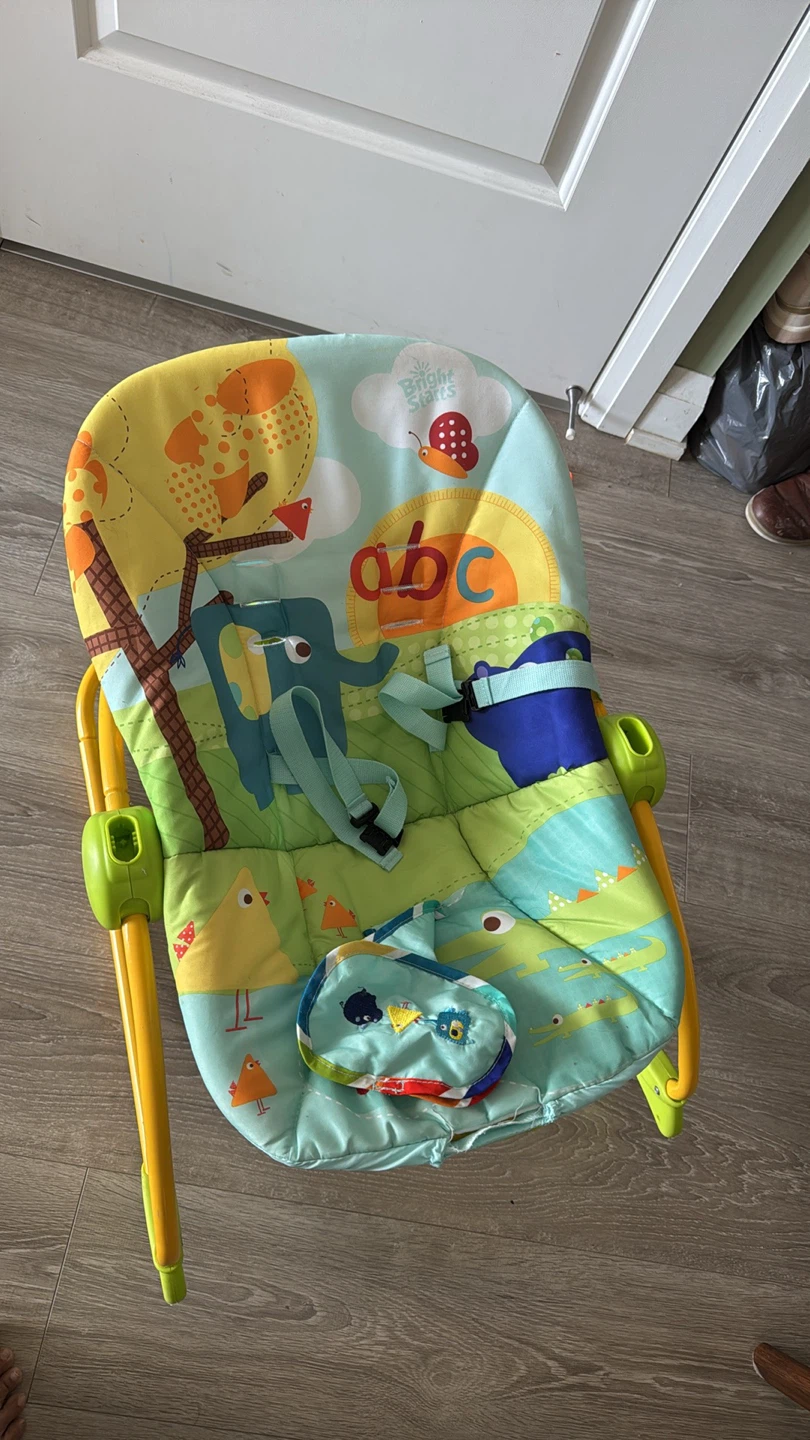 Bright Starts Baby Bouncer - photo 3