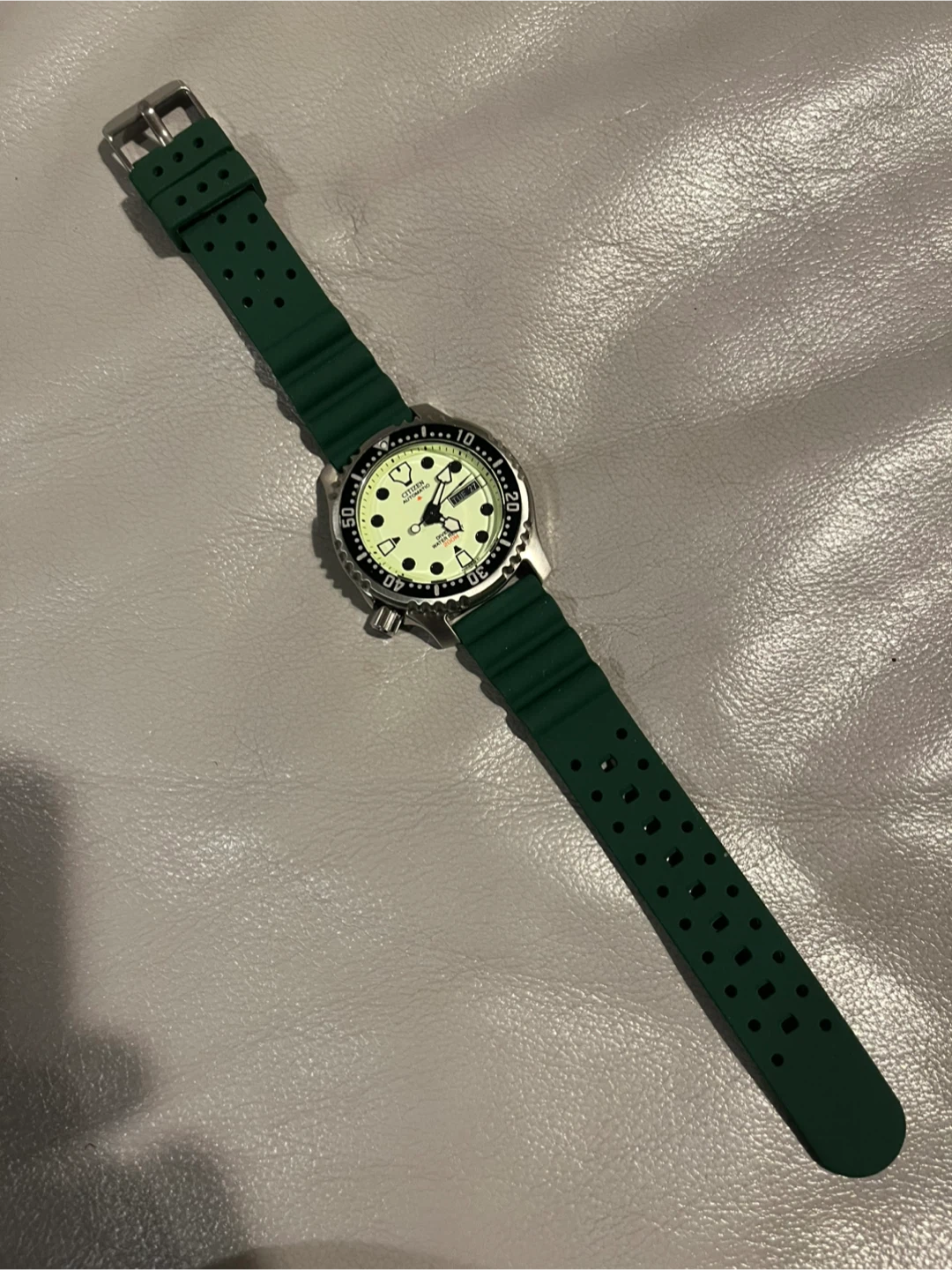 Citizen Promaster Automatic Diver Watch