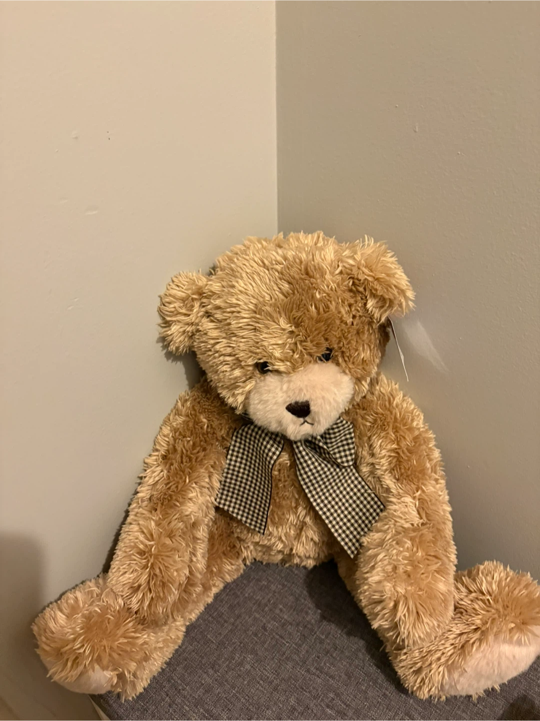 Teddy Bear