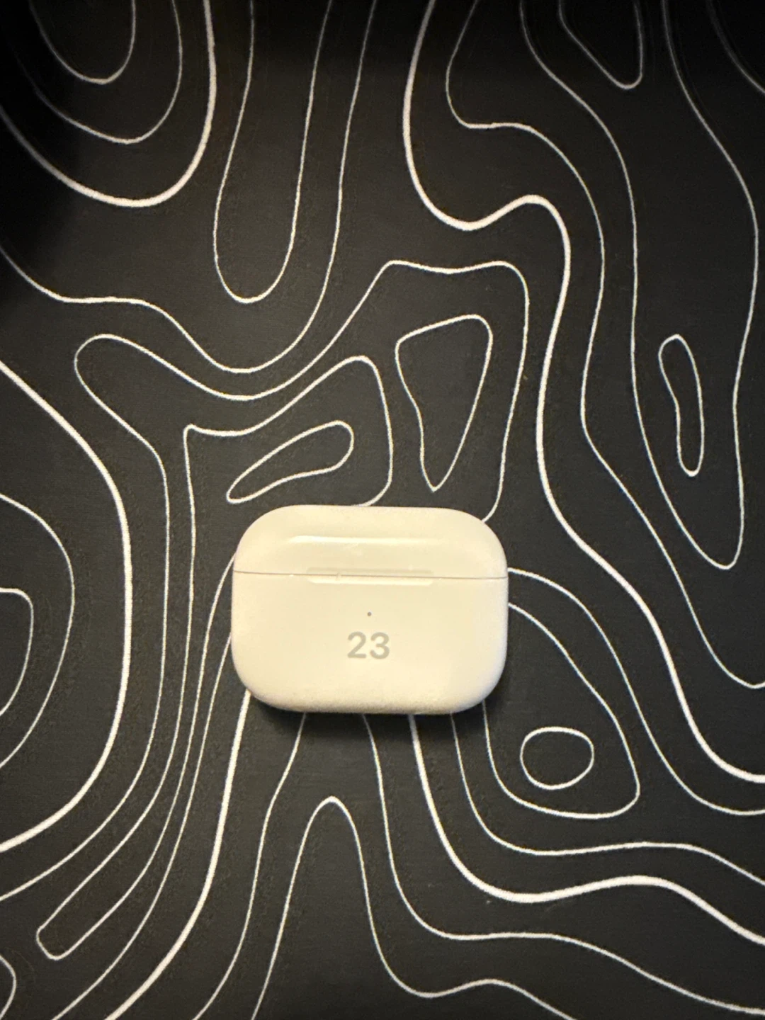 Apple AirPods Pro  with Case