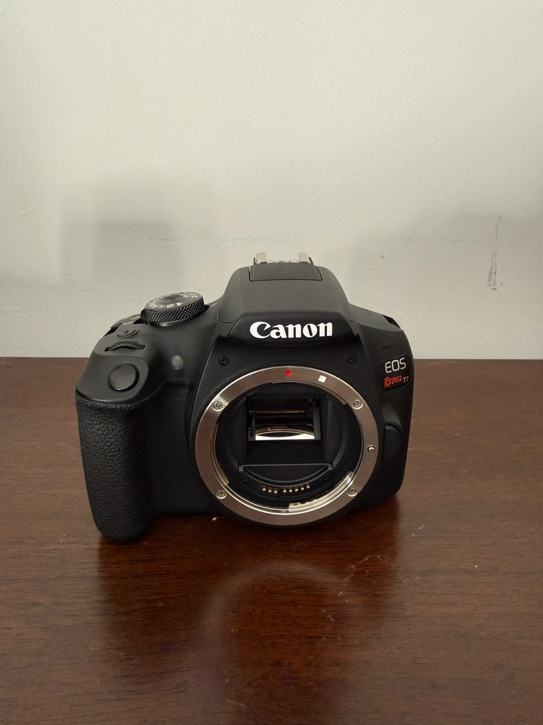 Canon EOS Rebel T7 Starter Kit - photo 2