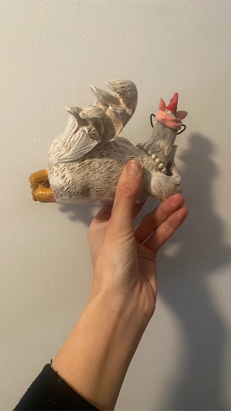 Lounging rooster - photo 5