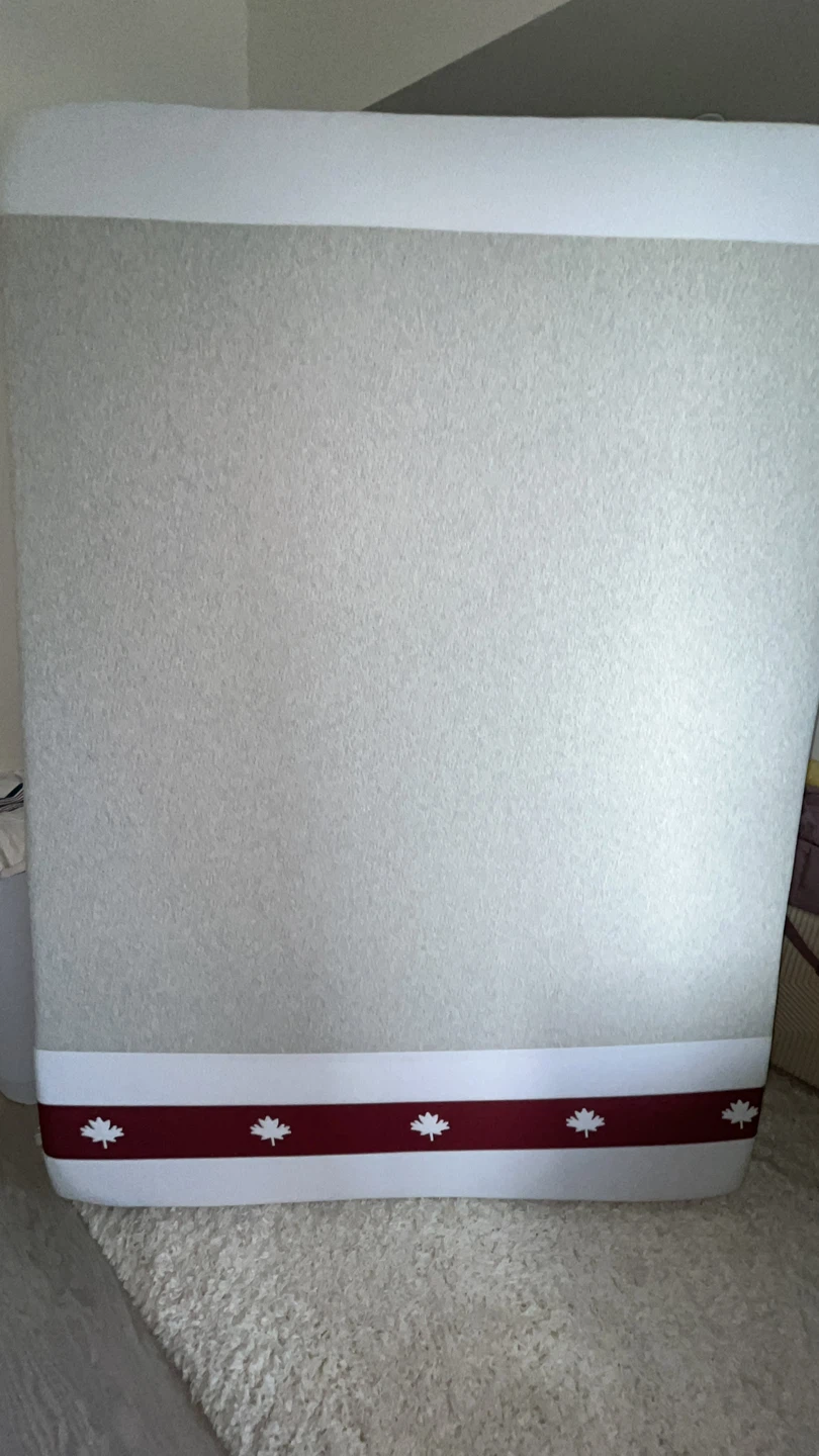 Endy Queen Mattress plus extras