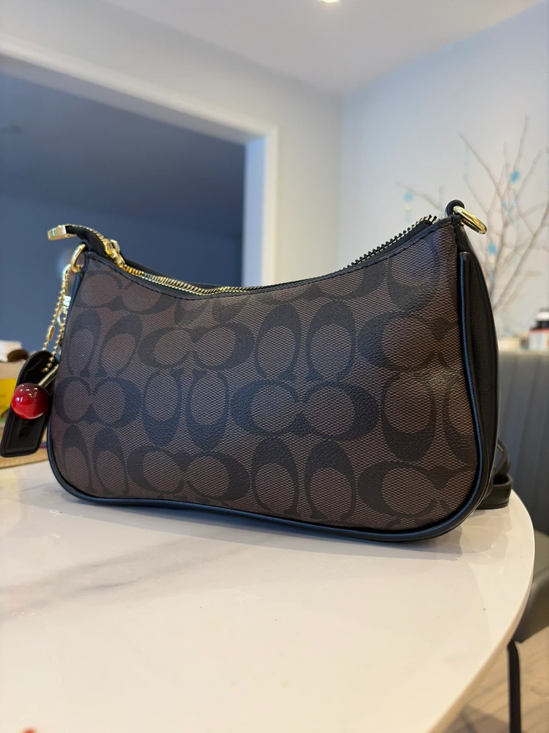 Coach bag - photo 3