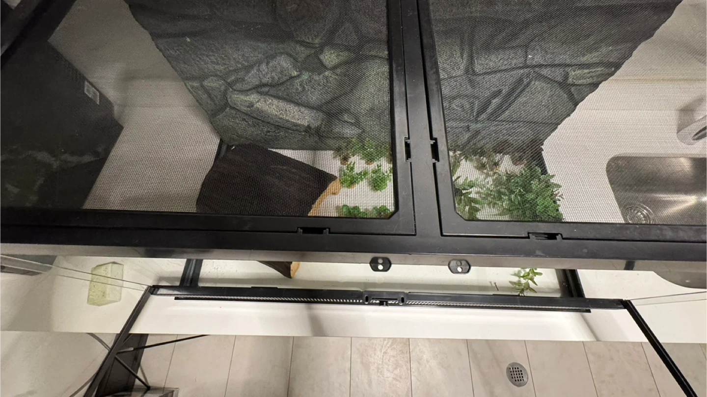 Terrarium Enclosure with Decor - photo 4