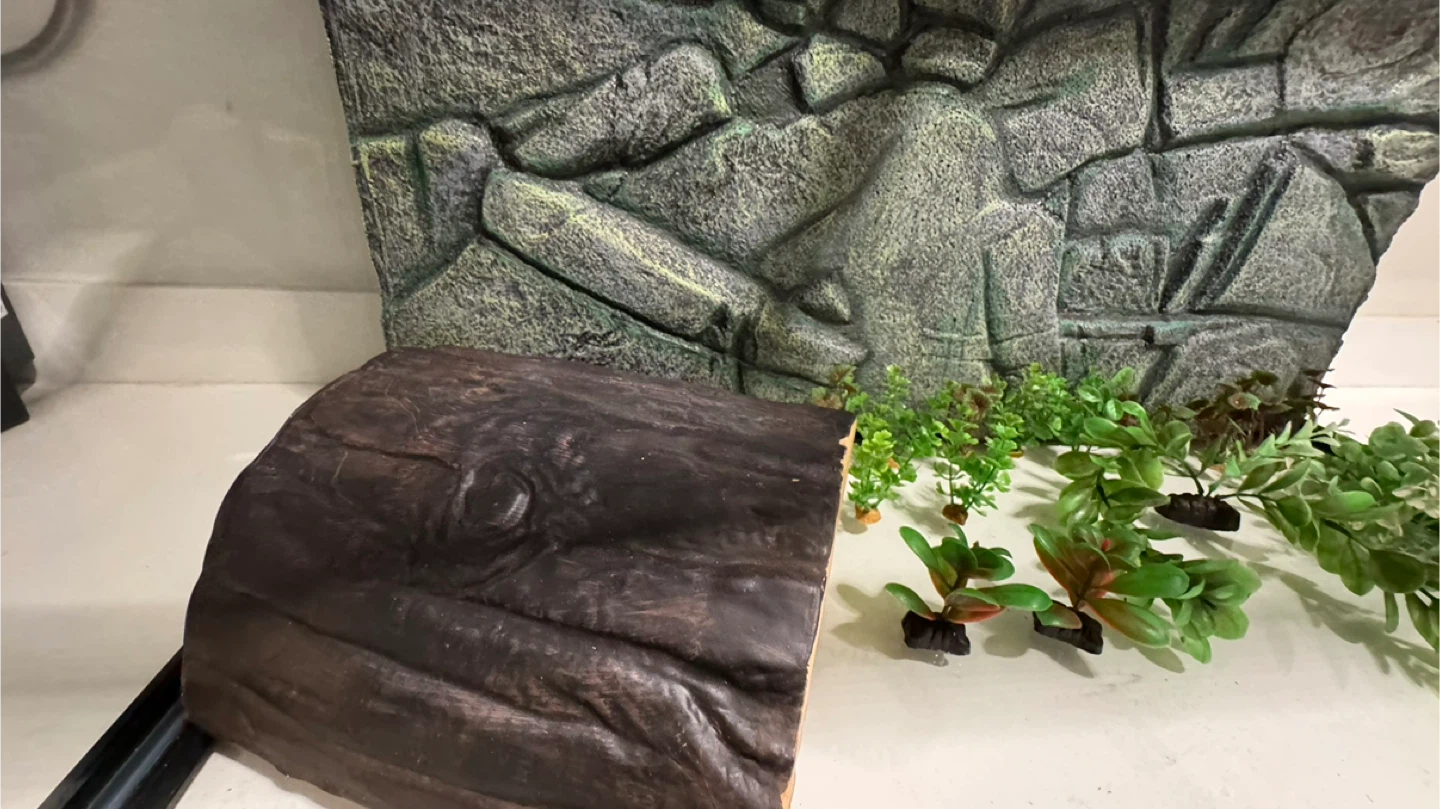 Terrarium Enclosure with Decor - photo 5