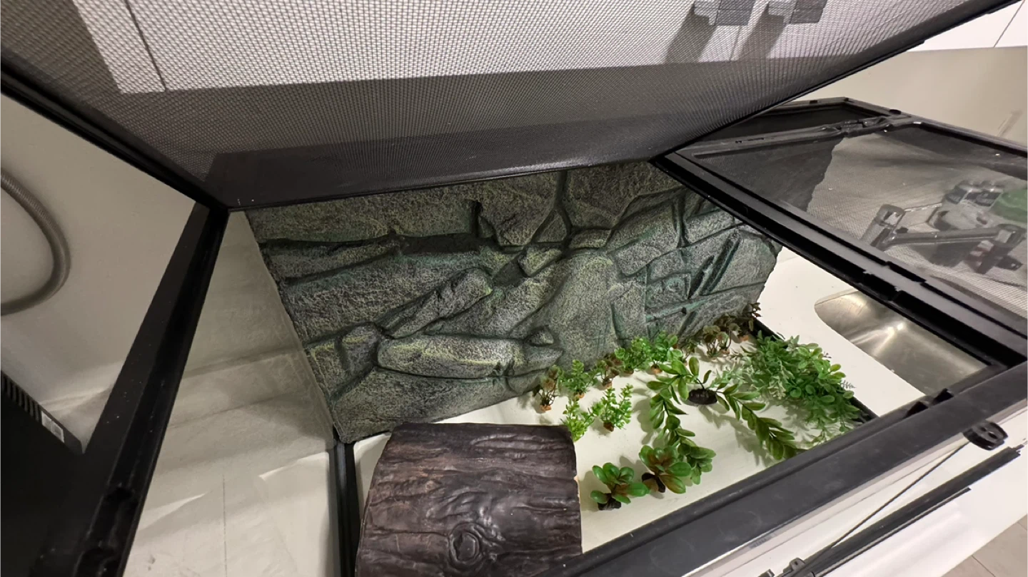 Terrarium Enclosure with Decor - photo 3
