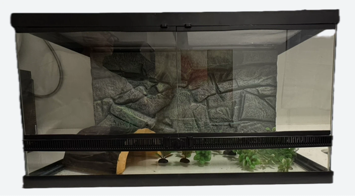 Terrarium Enclosure with Decor