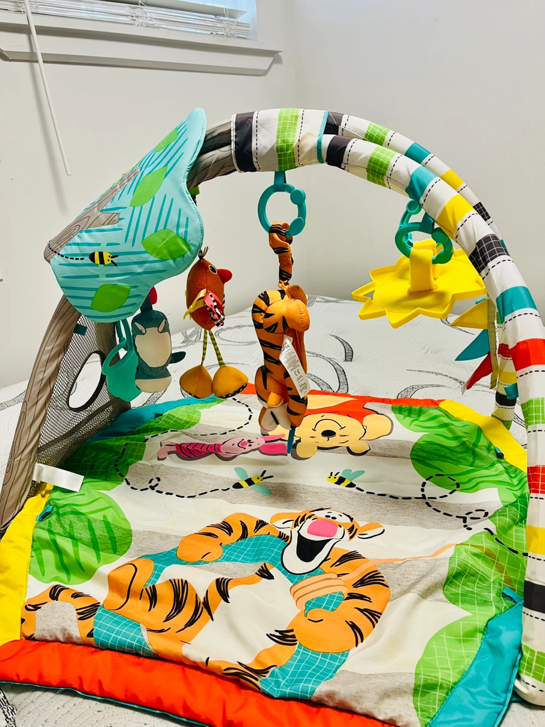 Winnie the Pooh Play Gym