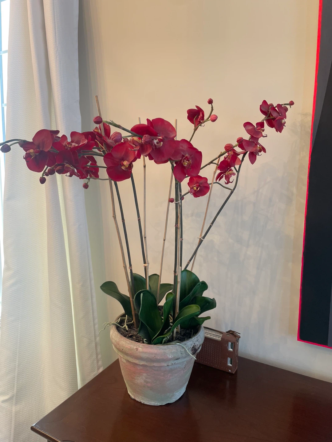 Artificial Red Orchid Plant in Pot 🧡
