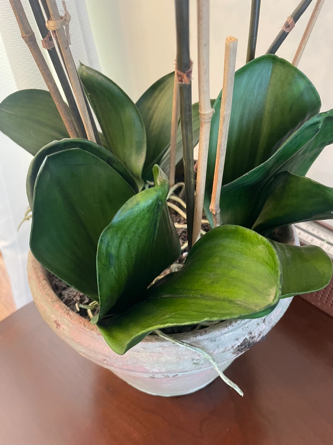 Artificial Red Orchid Plant in Pot 🧡 - photo 4