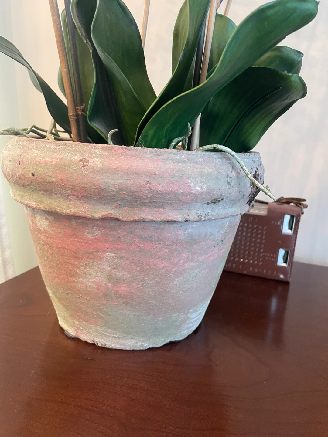 Artificial Red Orchid Plant in Pot 🧡 - photo 5