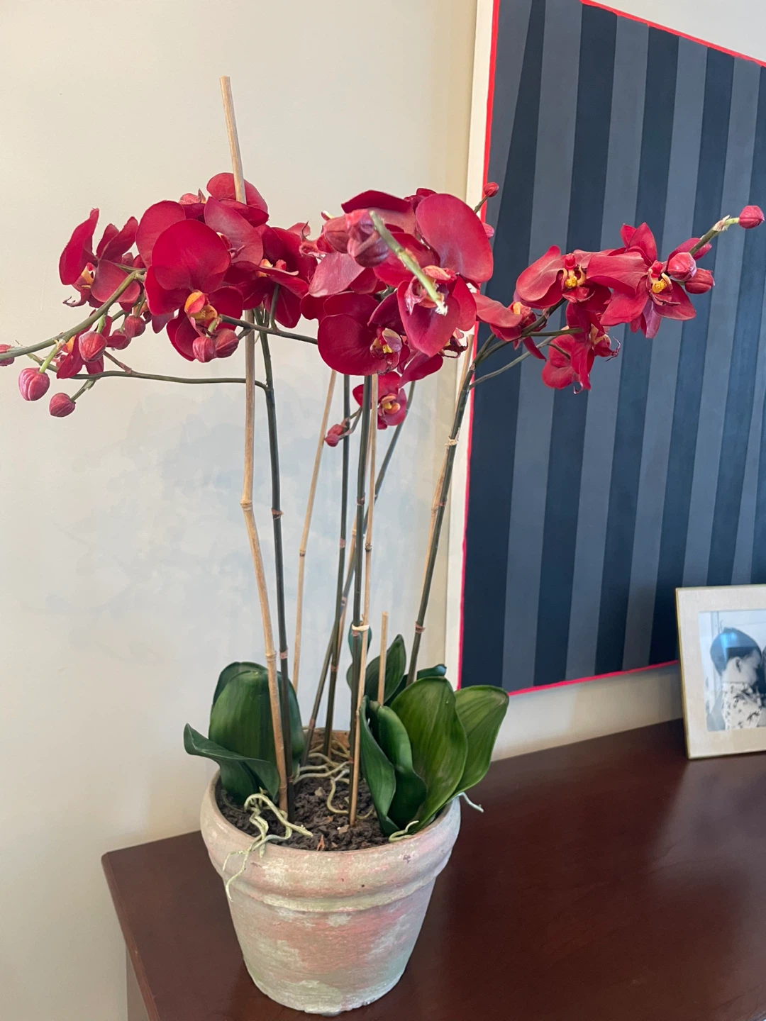 Artificial Red Orchid Plant in Pot 🧡 - photo 2
