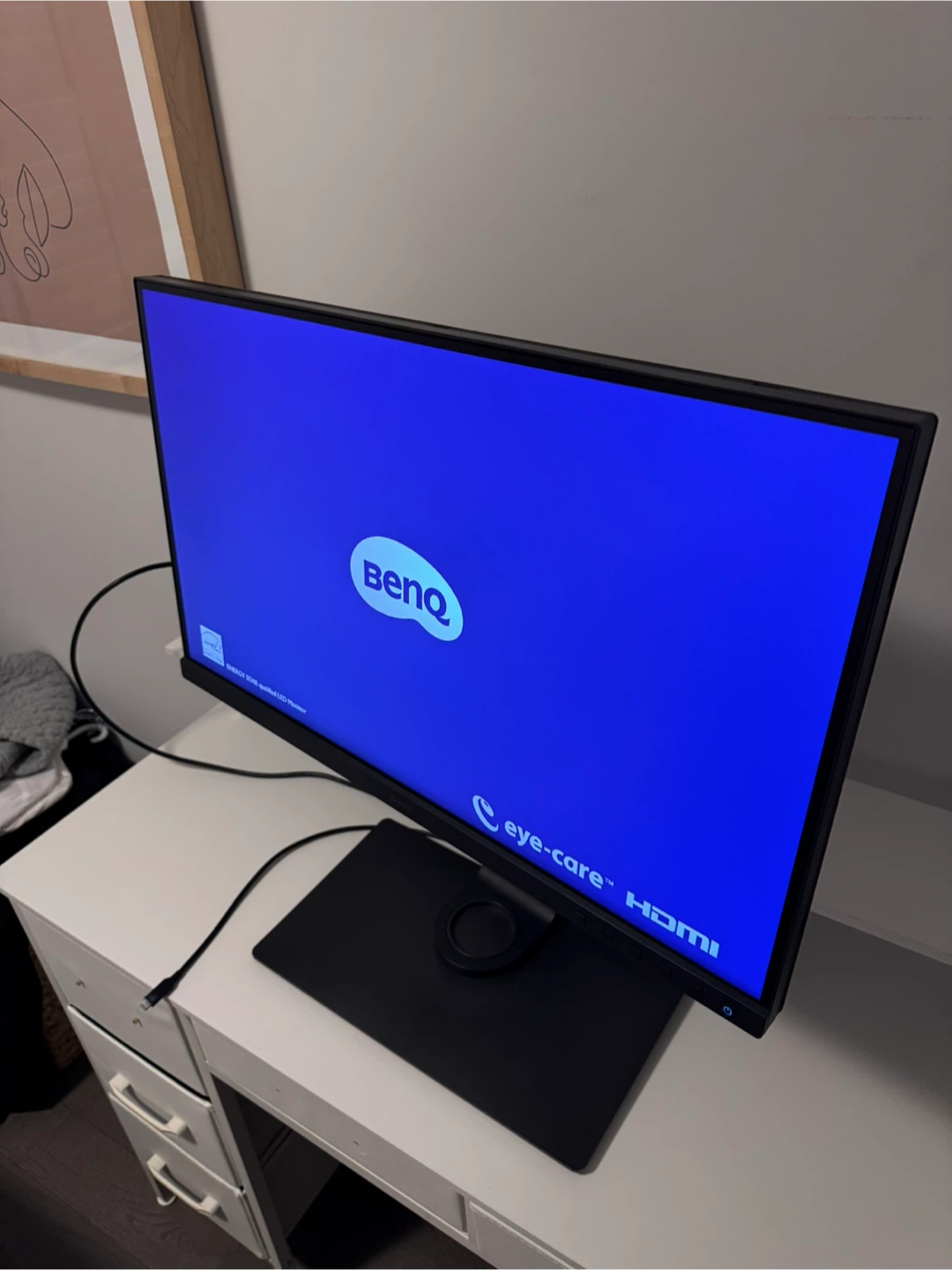 BenQ Monitor