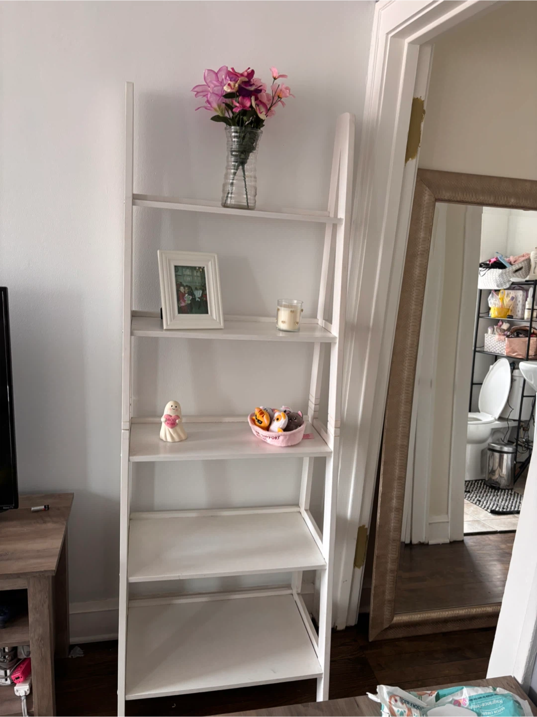 White Ladder Bookshelf