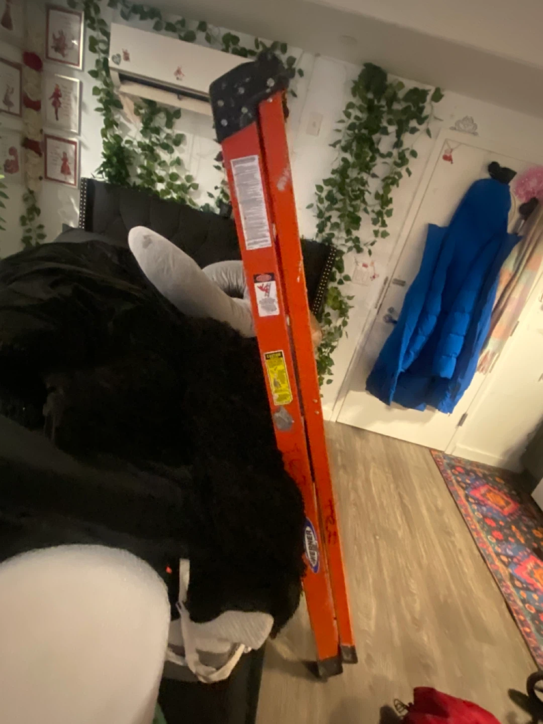 🥕🥕Werner 6ft Professional Ladder - 300lb Capacity - photo 2