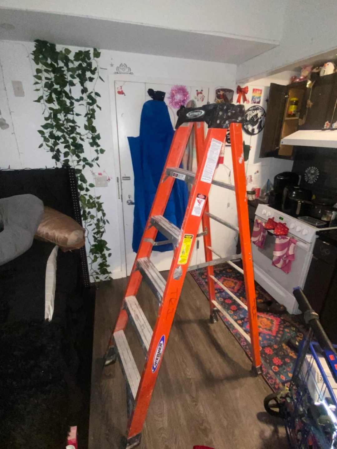 🥕🥕Werner 6ft Professional Ladder - 300lb Capacity