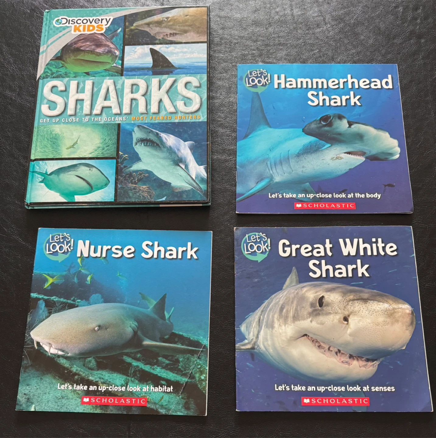Lot of 14 Shark Books for Kids
