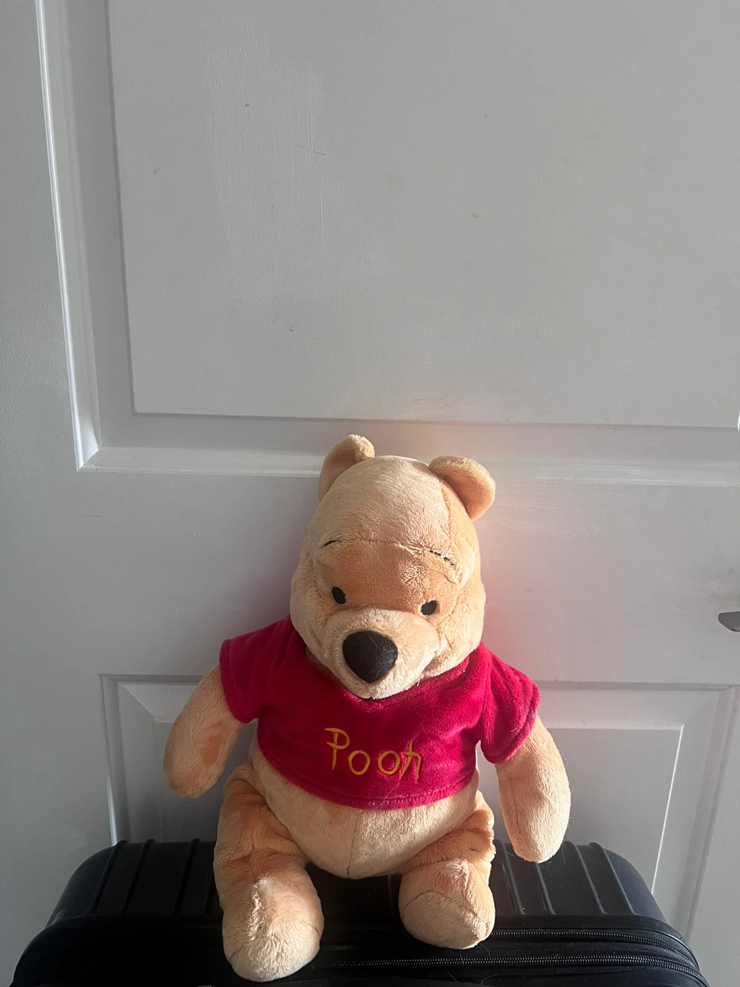 authentic disney Winnie the Pooh Plush Toy