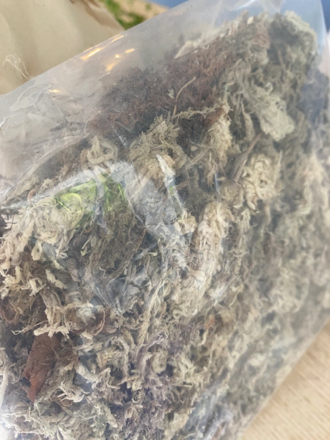 Indoor Potting Mix, moss and orchid bark - photo 3