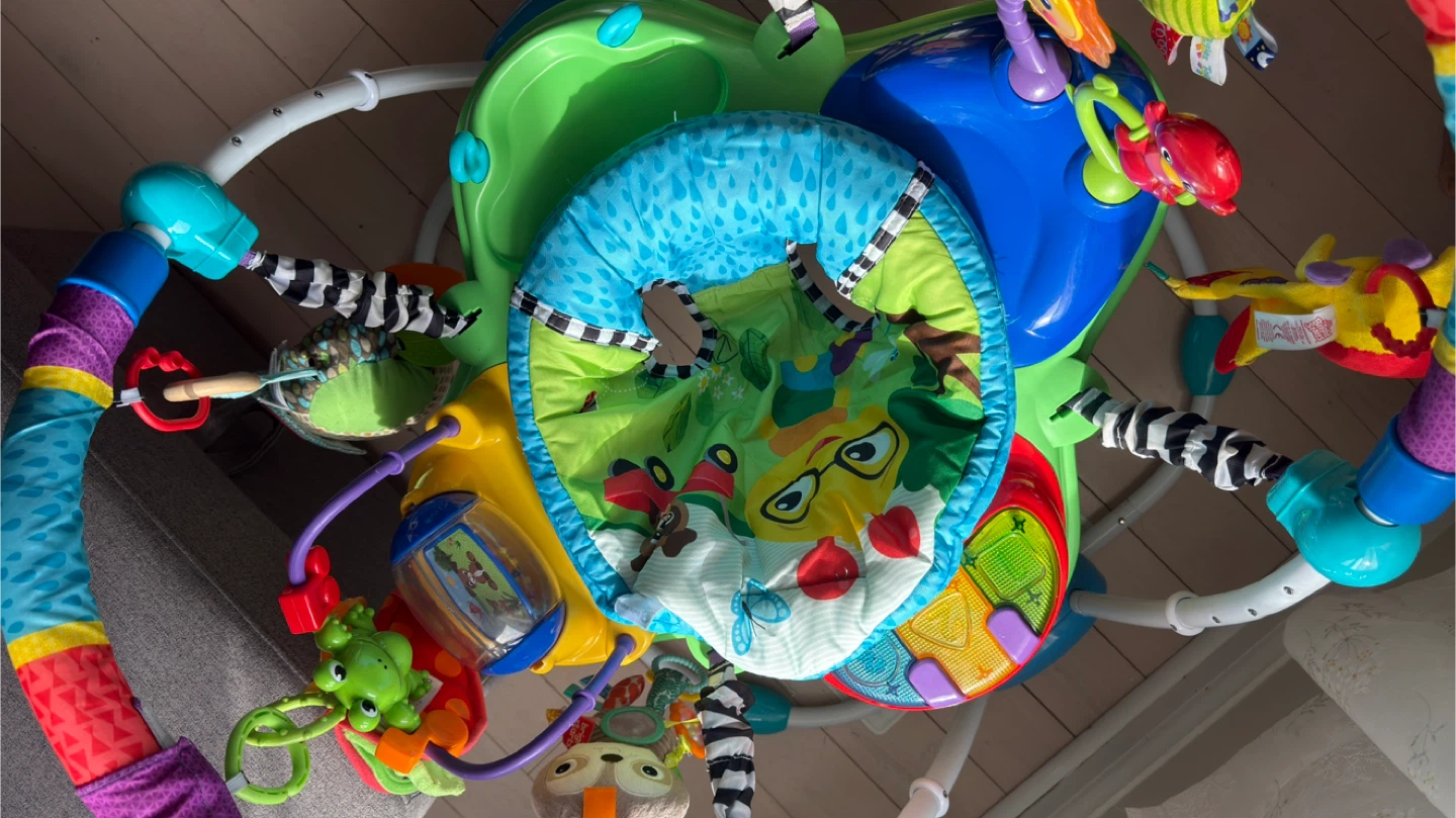 Baby Einstein Activity Jumper - photo 4
