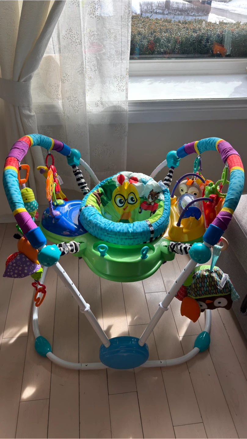 Baby Einstein Activity Jumper