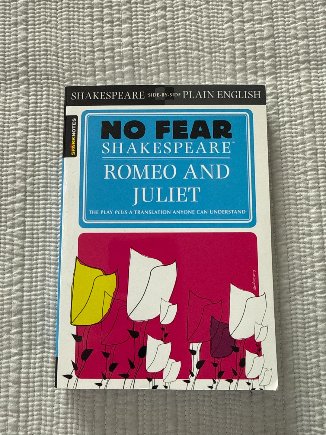No Fear Shakespeare: Romeo and Juliet
