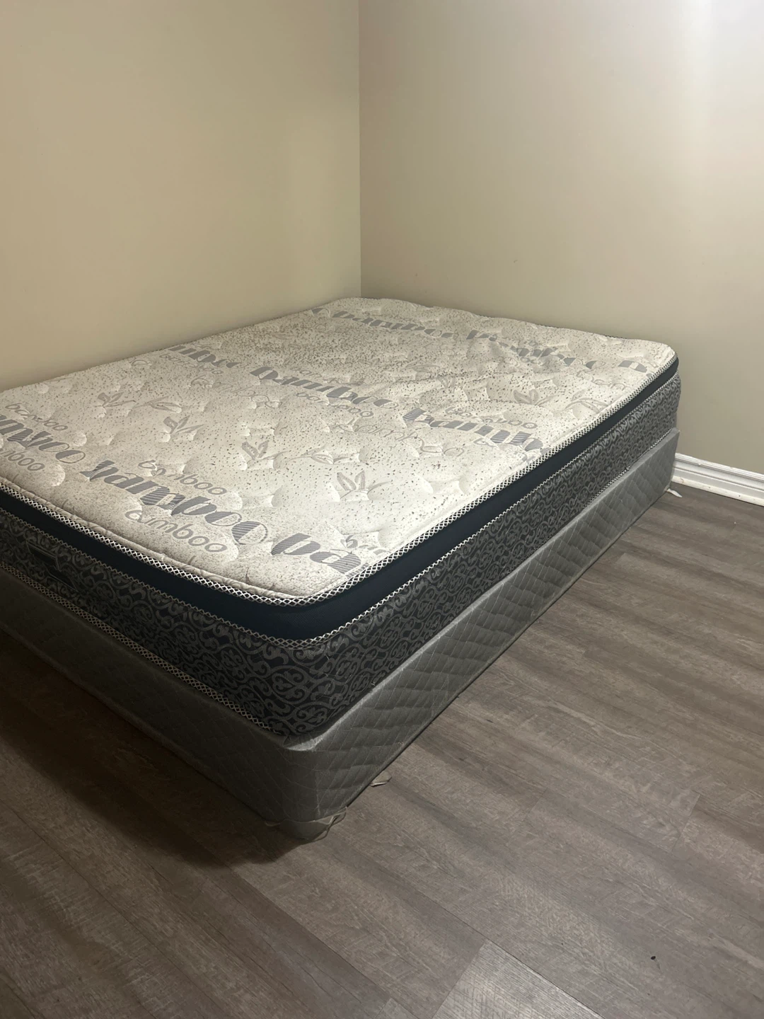 Queen Bamboo Pillow Top Mattress with Box Spring