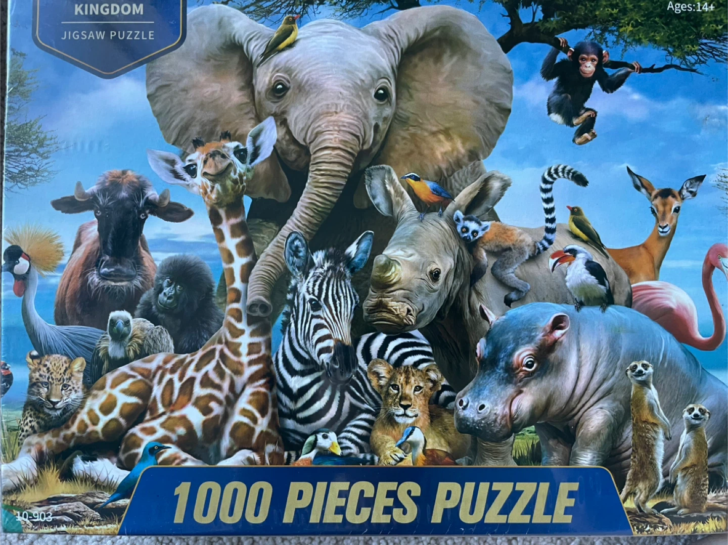 1000 Piece Jigsaw Puzzle brand new - Various Themes Available