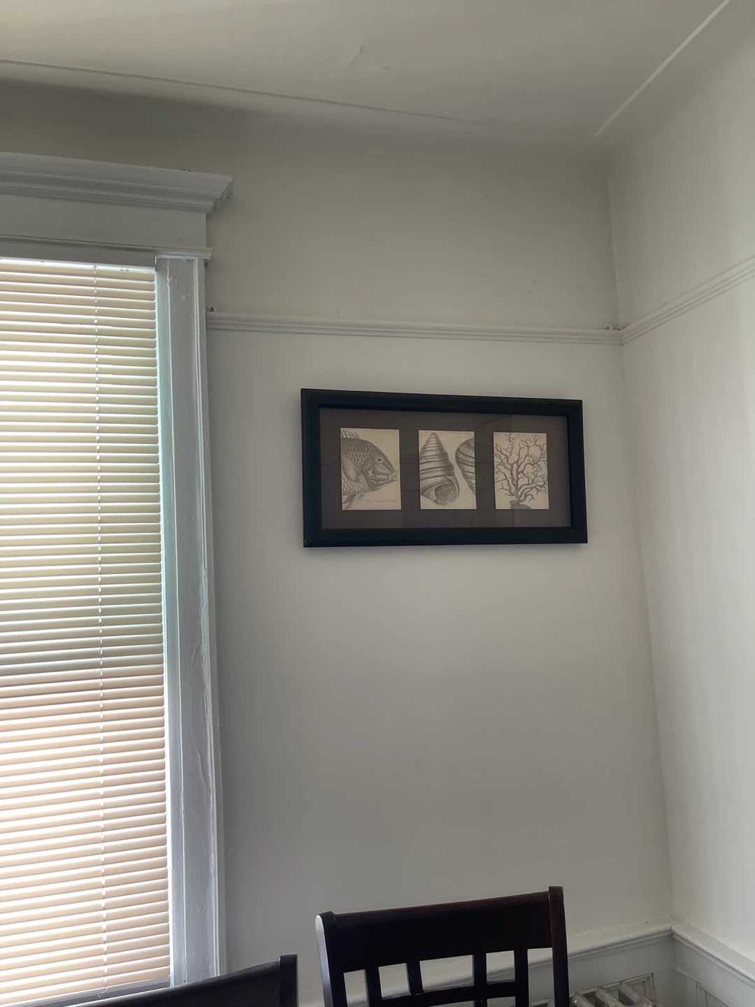 Framed Coastal Art - Fish, Shells, Coral