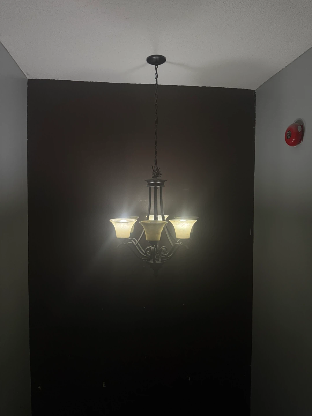 6 Light Chandelier