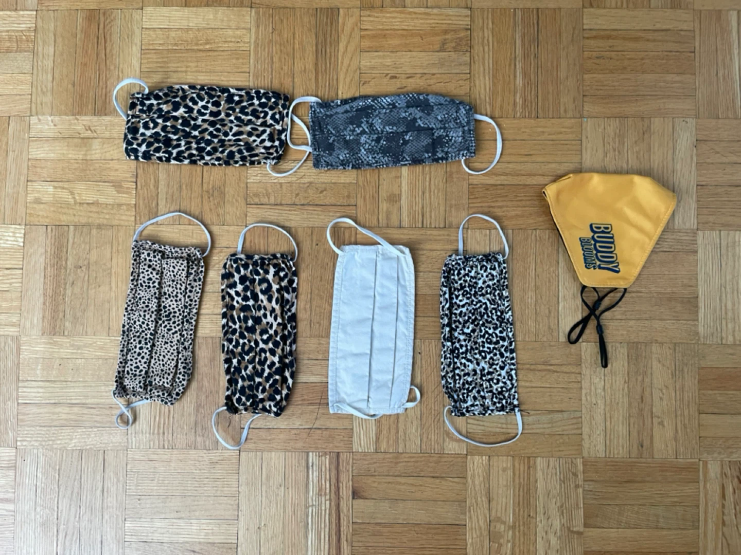 Assorted Face Masks - 5 Cloth, 1 Buddy Biscuits