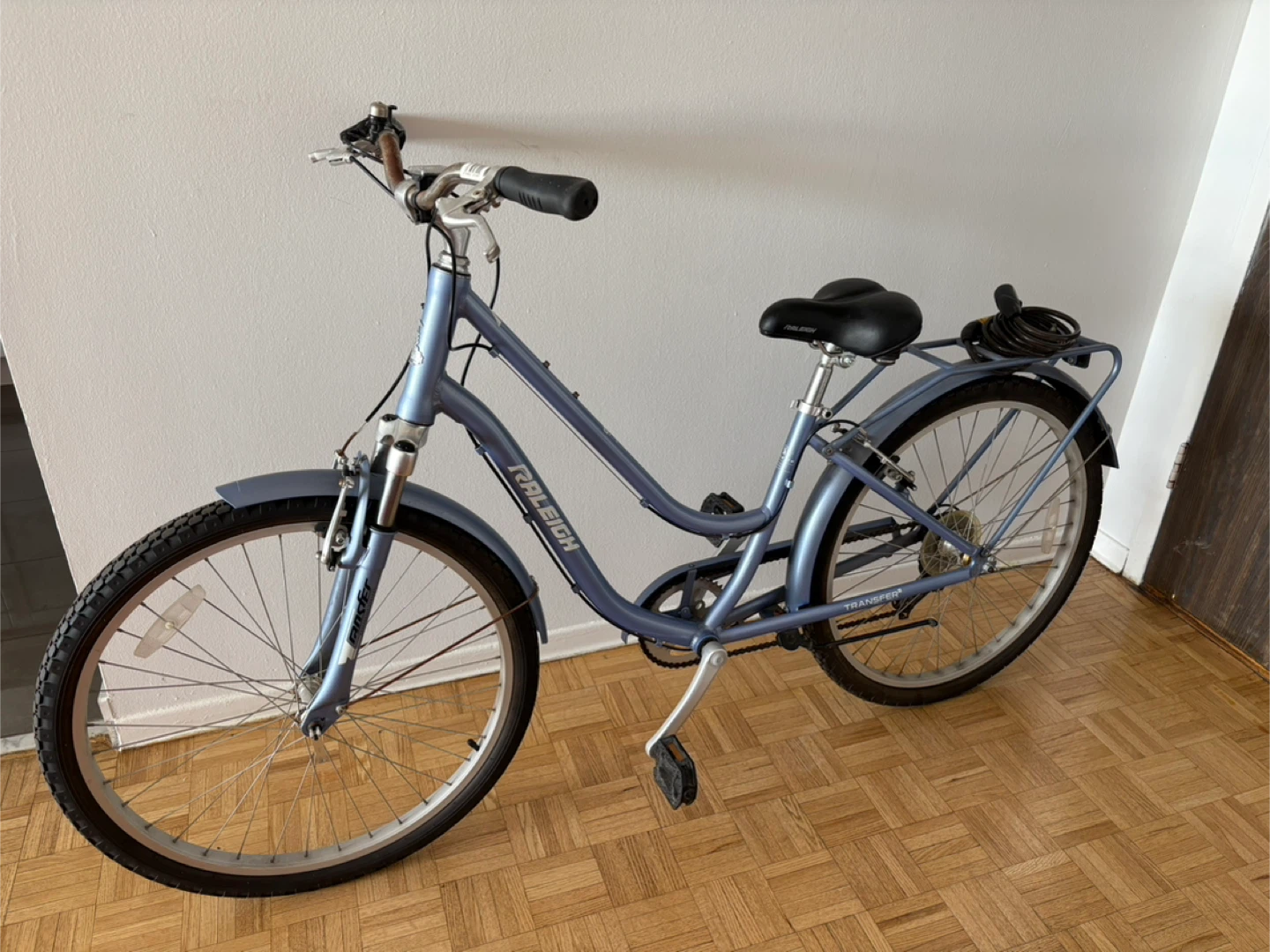 Raleigh Cruiser Bike with Blackburn Pump and Supercycle Lock