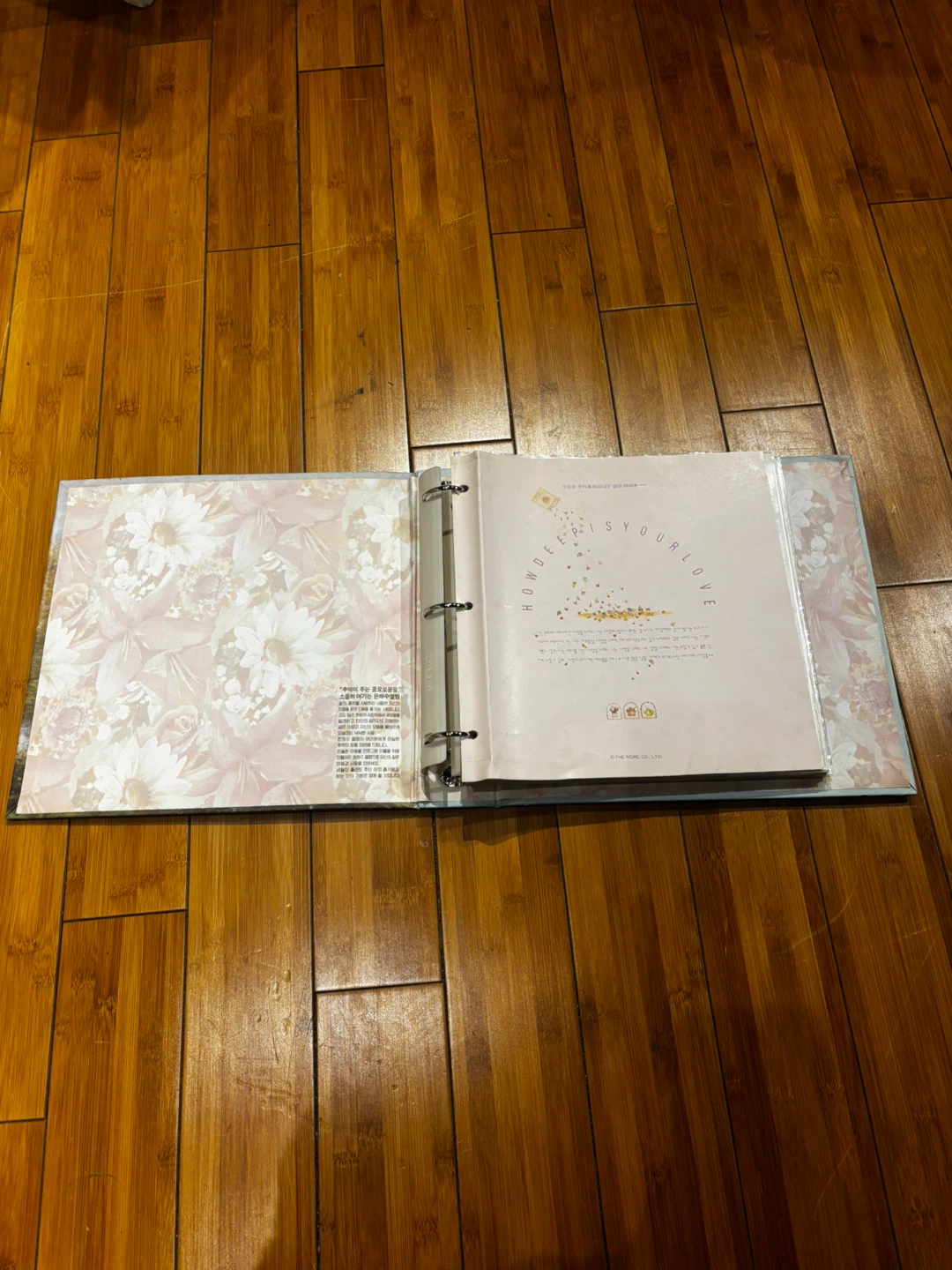 Review The Past Photo Album - photo 4