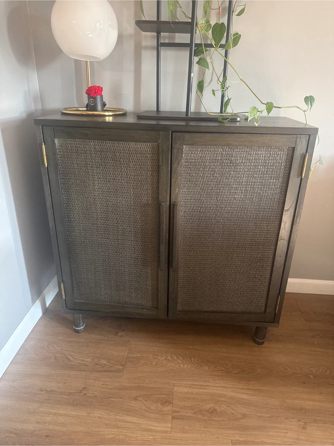 Dark Wood Cabinet with Mesh Doors