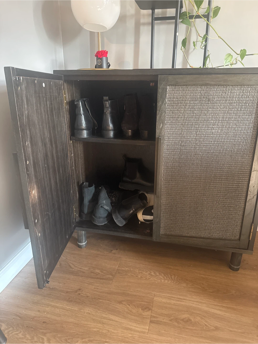 Dark Wood Cabinet with Mesh Doors - photo 2