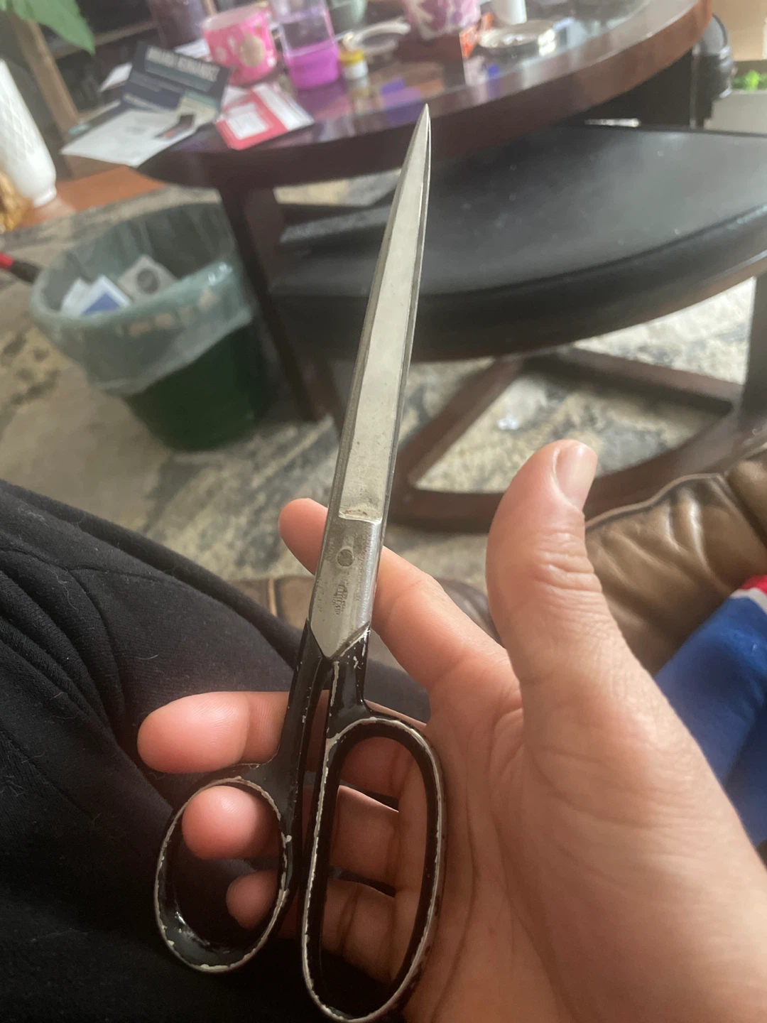 Vintage Stainless Steel Scissors