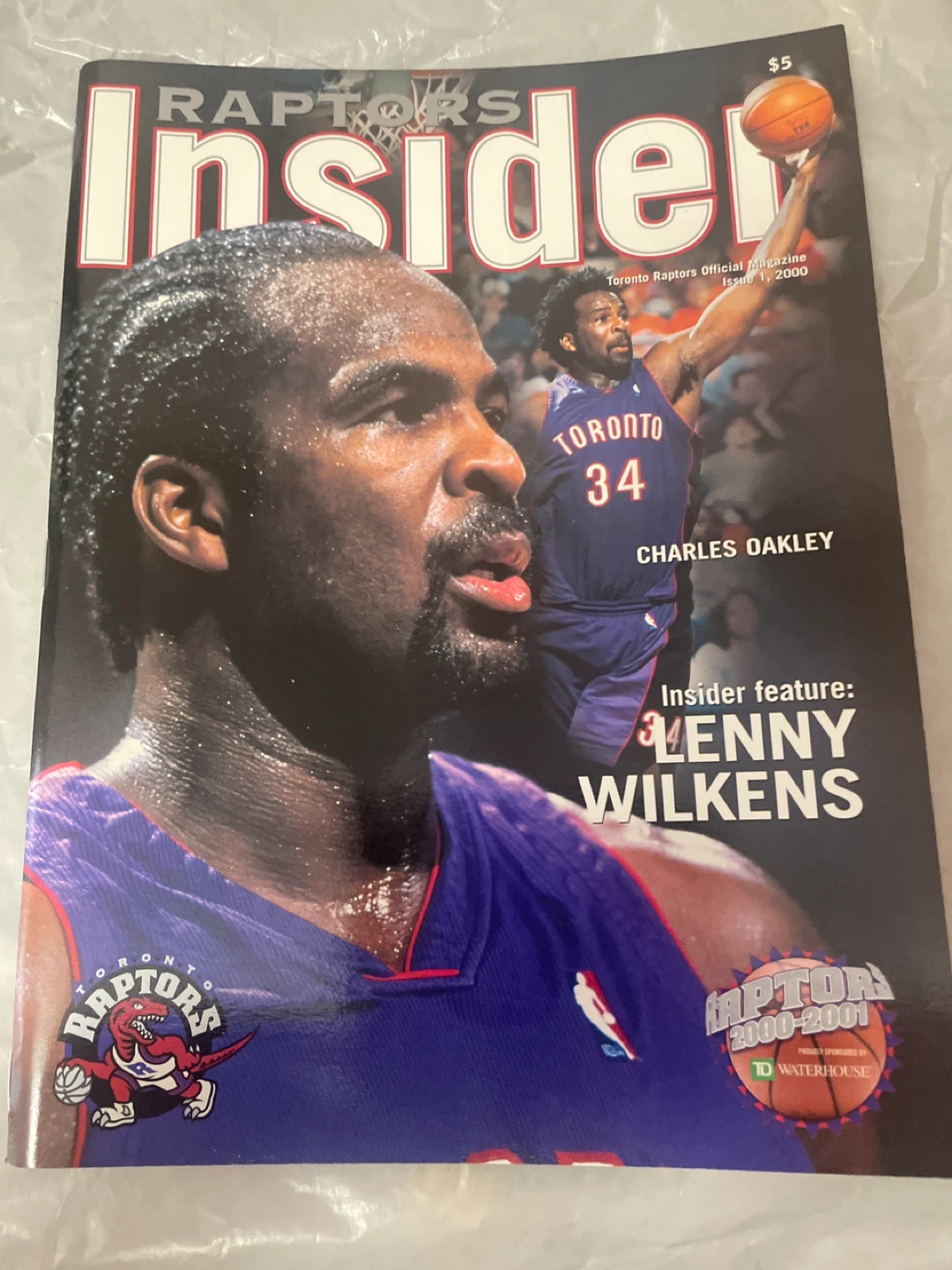 Raptors program