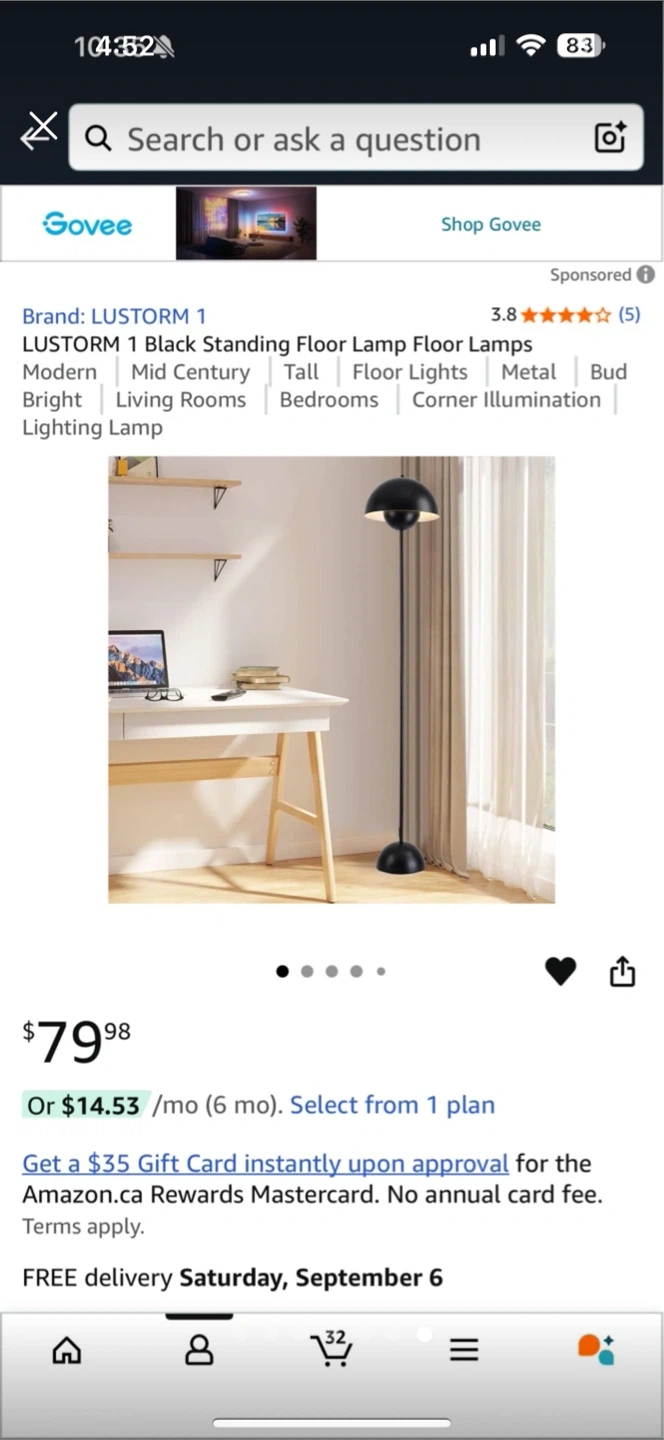 LUSTORM 1 Black Standing Floor Lamp