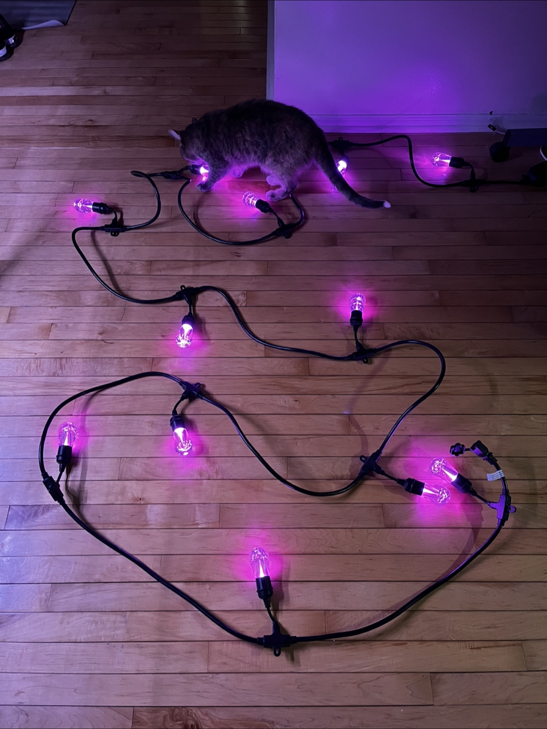 24’ multi-color outdoor lights - photo 2